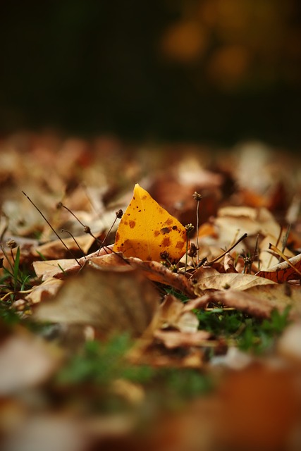 面临的挑战 面临的挑战