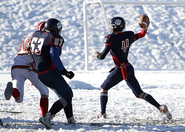 对于尼科 对于尼科