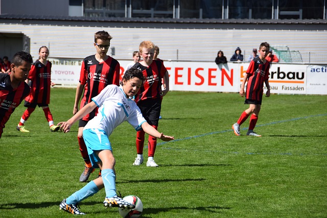 在这个大背 在这个大背