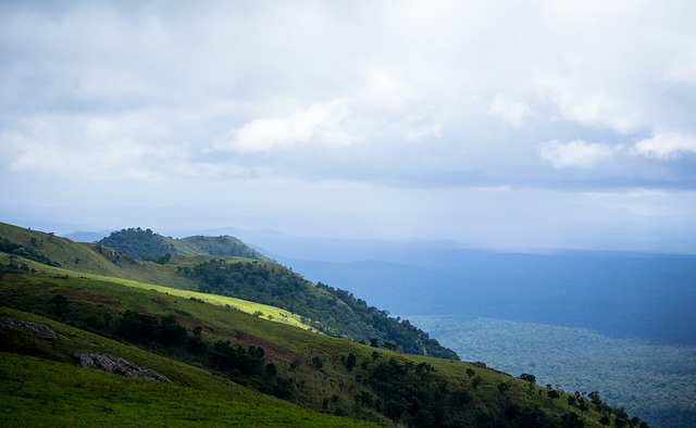 的靈活度 的靈活度