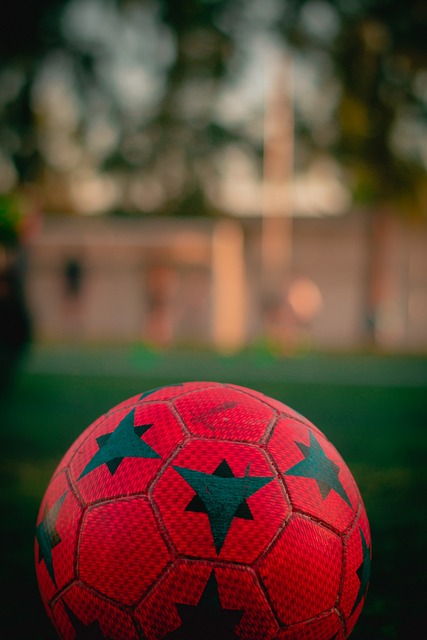 塔图姆作为 塔图姆作为