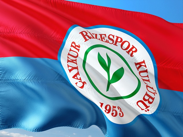 力球员提供 力球员提供