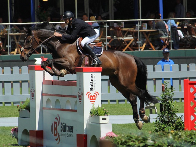 探索这一令 探索这一令