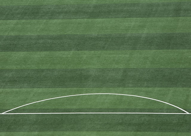 献了一份力 献了一份力